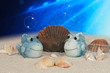 Fische,Muscheln, Unterwasser - Fish,Mussel,Underwater
