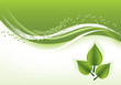 vector abstract background with green leaves