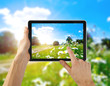 tablet