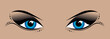 blue smokey eyes