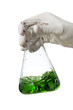 Matraz de Erlenmeyer con mano bióloga con liquido