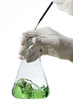 Matraz de Erlenmeyer con manos biologa verde