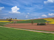 Foto: Feldflur im Frühjahr Feldflur im Frühjahr