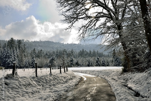 Photo: Chemin d'hiver Chemin d'hiver