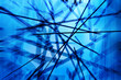 digital blue shatter