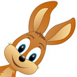 süsses Häschen - cute bunny