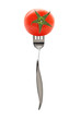 Tomate piquée sur une fourchette, fond blanc