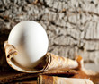 oeuf blanc d pâques sur fond de bois
