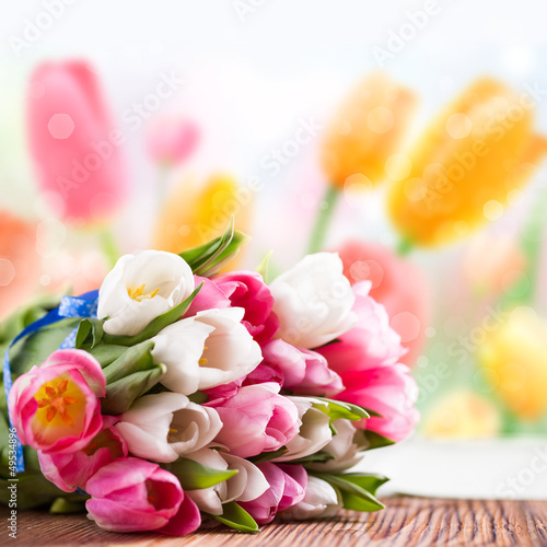 Photo: Tulpen vor Frühlingshintergrund Tulpen vor Frühlingshintergrund