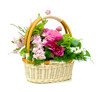 basket of flowers isolated on white background
