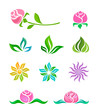 Vector: Floral elements Floral elements