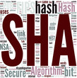 Secure Hash Algorithm Concept