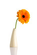 Flowers and vase.