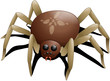 Kreuzspinne Vektor