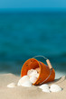 Foto: Muscheln sammeln am Strand, Urlaub, Ferien, Entspannung Muscheln sammeln am Strand, Urlaub, Ferien, Entspannung