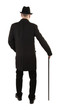 Man with walking stick rear view