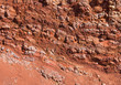 Earth crust