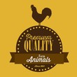 Farm Animals