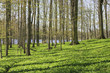 Hiking trail