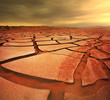Drought