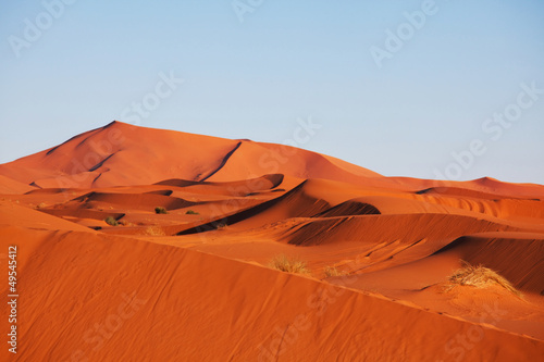 Photo: Desert Desert