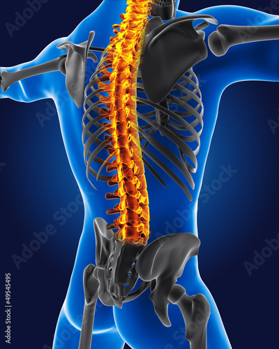 Illustration: 3D medical man with skeleton 3D medical man with skeleton