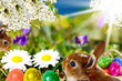 Bunte Osterwiese