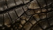 Video: Crocodile skin, macro. Dolly shot Crocodile skin, macro. Dolly shot