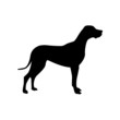 Vektor: Logo Dog, alano # Vector Logo Dog, alano # Vector
