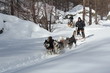 au coeur des alpes..