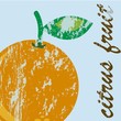 citrus fruit