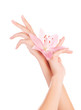 Photo: Female hands with lily flowers Female hands with lily flowers