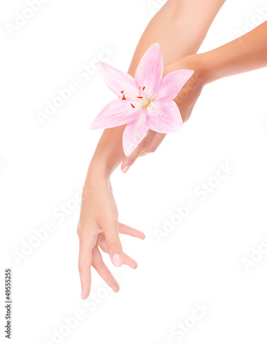 Photo: Women's hands with pink lily Women's hands with pink lily