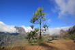 Foto: Caldera de Taburiente Caldera de Taburiente