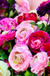 Rosarote Rosen