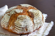Rye bread artisan rustic loaf, dusted with flour on close-up