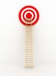 Ladder to middle of target on white background