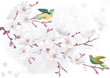 Vector illustration blooming cherry tree in watercolor technique