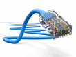 Computer network cable rj45. 3d