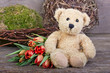 teddy bears