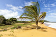 plage outre mer