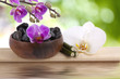 concepto de spa