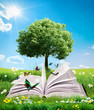 green magic book