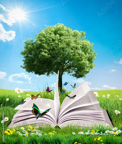 Photo: green magic book green magic book