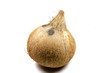 Fresh coconut isolated on white  background