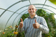 Smiling man in tomatos plant