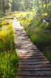 Boardwalk