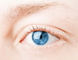 Human blue eye. macro shooting