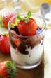 dairy dessert with chocolate sauce and strawberries