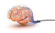 Illustration: Brain analysis. Polygraph test. Brain analysis. Polygraph test.